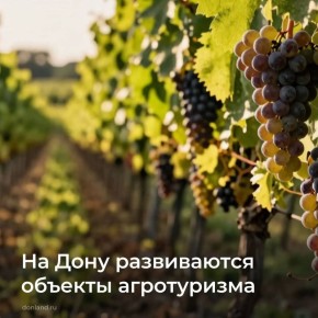 ������ �������� � ����� ��������� ������� � ���������� ������� �������� ����� 70 ��� ������ � ������ ��������� ������� ����������� �� ��������� ��� ����