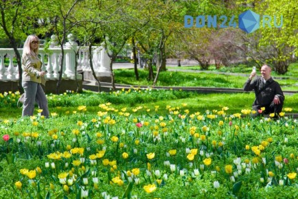 ������ ������ �������� ���������