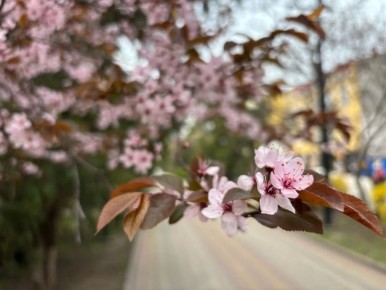 �� +20 �� ��������� � ���������� ������� �� ��������