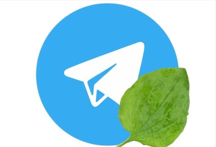 ���������� ��������, ��� ��������� Telegram ��� VPN