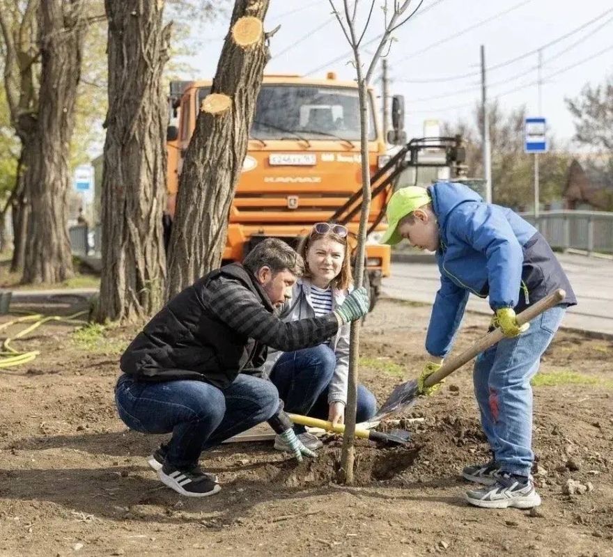 Также в нашем городе прошел ежегодный весенний День древонасаждения