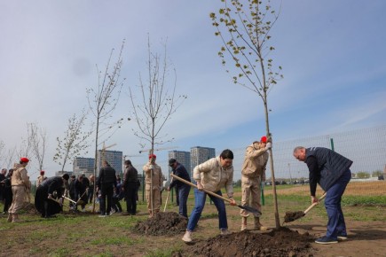 � ���������� ������� �������� ����� 36 ����� �������� � �����������