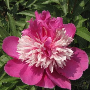 ����� � �����: ������, ������� ��������� �������