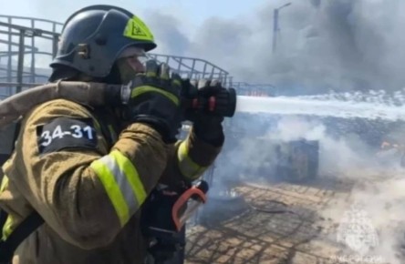 � ������� ��� ������ � ���� ����� 81-������ �������