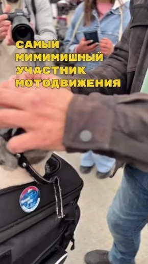 ���������� ���������� � �������