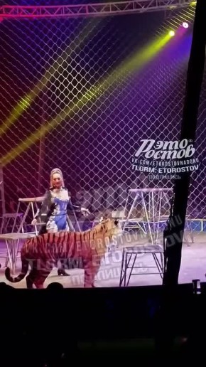 ����� ���� ������� � ����� �������� � �����