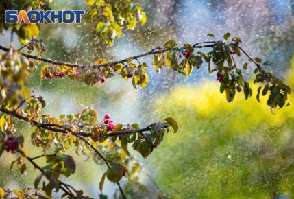 ������ 20 ������: �������. ����������� �������: ����� +8, ���� +13, ������� +11