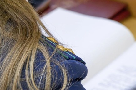 � ��������� ����������� ������� ����������� �������� ���� �� �������� � 9,8 ��� ������