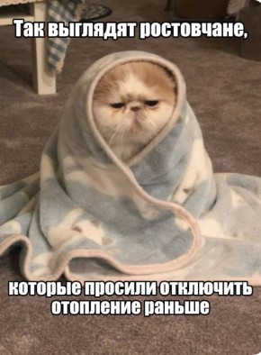 ������ ������� ������� �������� �� ����� � ���������