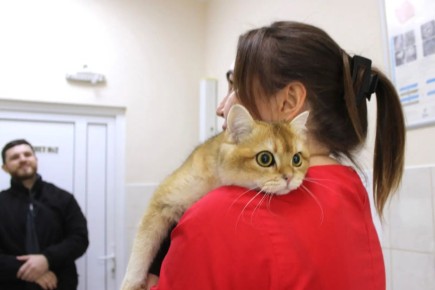 � ��������� ������� ������ � ��������������� ������������ �������� ���������� ������� ������� ����� �� �������� ������������ �������� ��������