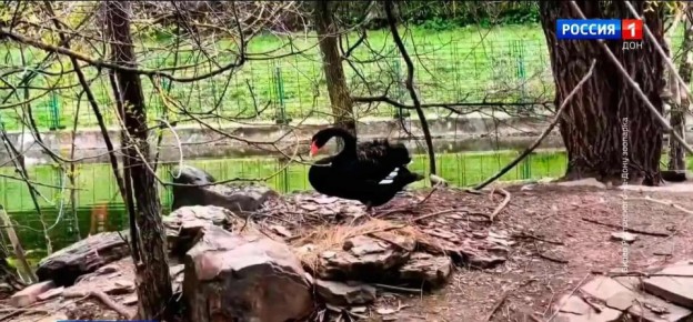 � ���������� �������� �� ����� ��������� ������ �������