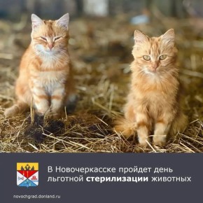 � �������������, ��� � �� ���� ���������� �������, ��������� ����� �� �������� ������������ ��������-�����������