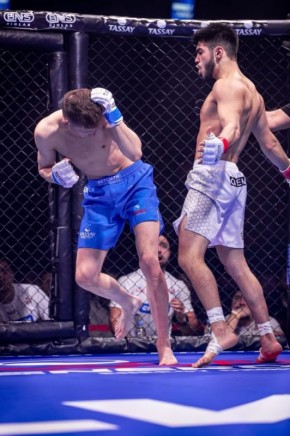 ���������� ���� ������ �������� ������������ ��������� �� ������� FIGHT NIGHTS 136