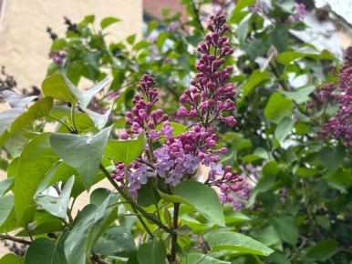 ������ ��������� ������ � ������� � ����������� ��������� � ���������� �������