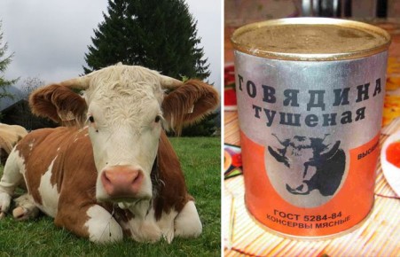 ������ ���� ������ ����� ���������: ������� � ������� ��������