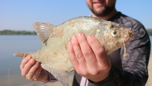 � ���������� ������� � 1 ��� ������� ����� ���������� �����������