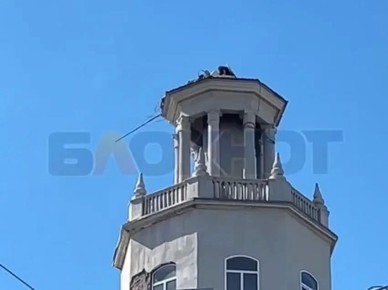 � ���������� ����� ����������������� ��������� ����� �� ������������ ������ �� ������� �������