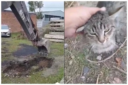 � ������� �������� � �������� ���� ��������� c ������� �����������