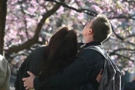 �� �������� ����������, ������ � �������-��-���� 29 ������ ����� ������� ���������� �� ��������� �� ���������