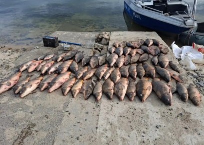 ������� � ����� �� ����� ����������� ��� ���������� ��������� �����