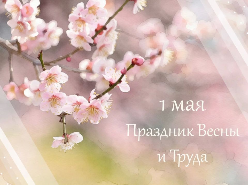 ������������ ������������ ������������� ���������� �� ������ �� ���������� ������� � ���������� ����� � �����