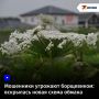 ��������� �������� ����������: ��������� ����� ����� ������