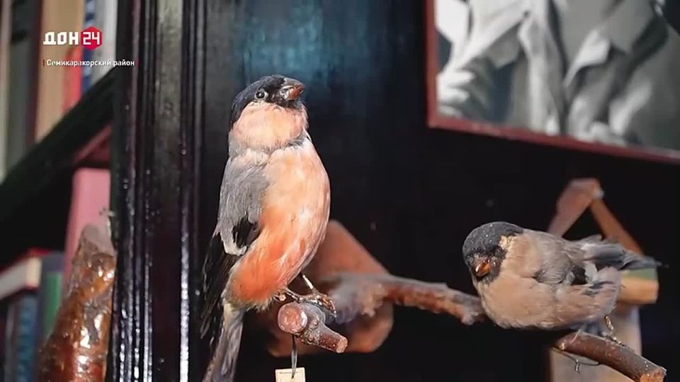 � ���������� ����-����� ������� ���������� ����� ������������� ���������, � ������� ������ ��������