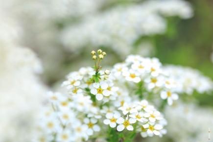 ������ � ���������.. ����� ������ clck.ru/3RrPL2