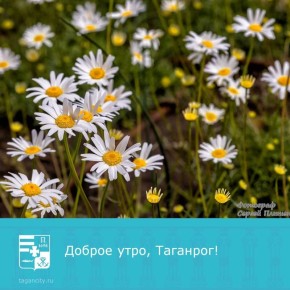 � ������ �������� �����!. ����: ������ ��������
