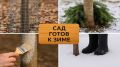 Защита сада от грызунов: как уберечь растения зимой