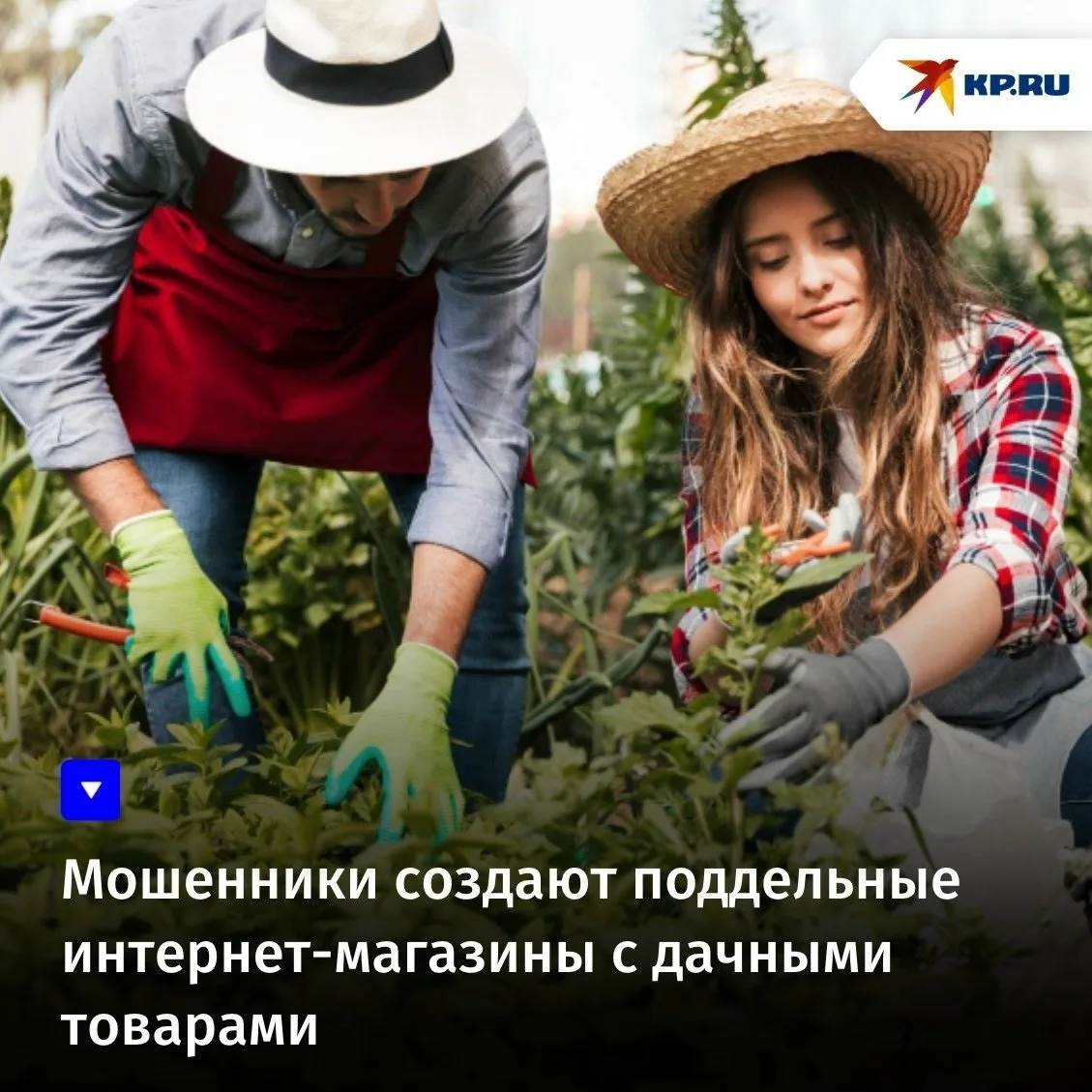 Мошенники создают поддельные интернет-магазины с дачными товарами