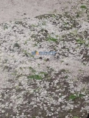� ������� ������������ ������ ����