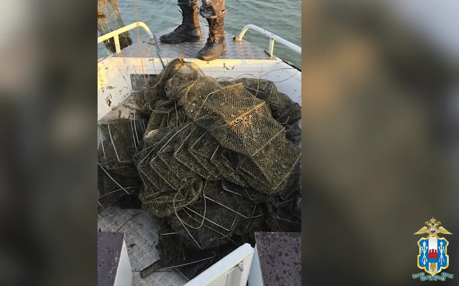 Более 5 тысяч раков и особей различных видов рыб выпустили на свободу в воды Веселовского водохранилища Ростовской области