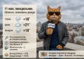 ������ 11 ��� � ������� � �������� �����