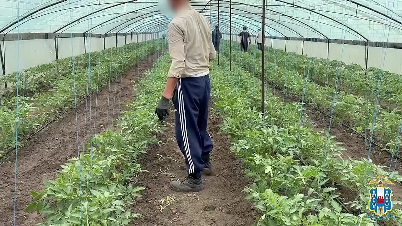 В Ростовской области в ходе миграционных рейдов по сельхозугодьям полицейские выявили 392 нарушения