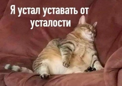 12 ��� � ���� ����������� ���������