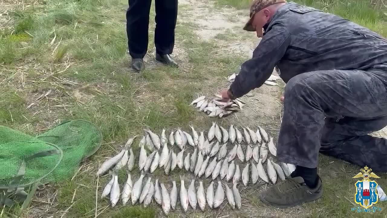 140 многозаходных браконьерских ловушек вытащили из Весёловского водохранилища
