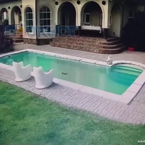 ���� �� ������ ������� ������� � �������-��-����