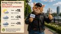 ������ 13 ��� � ������� - ���� �����, ��������� � ���������