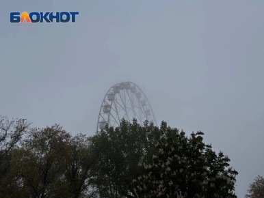 ���� � ������� �������� ��������