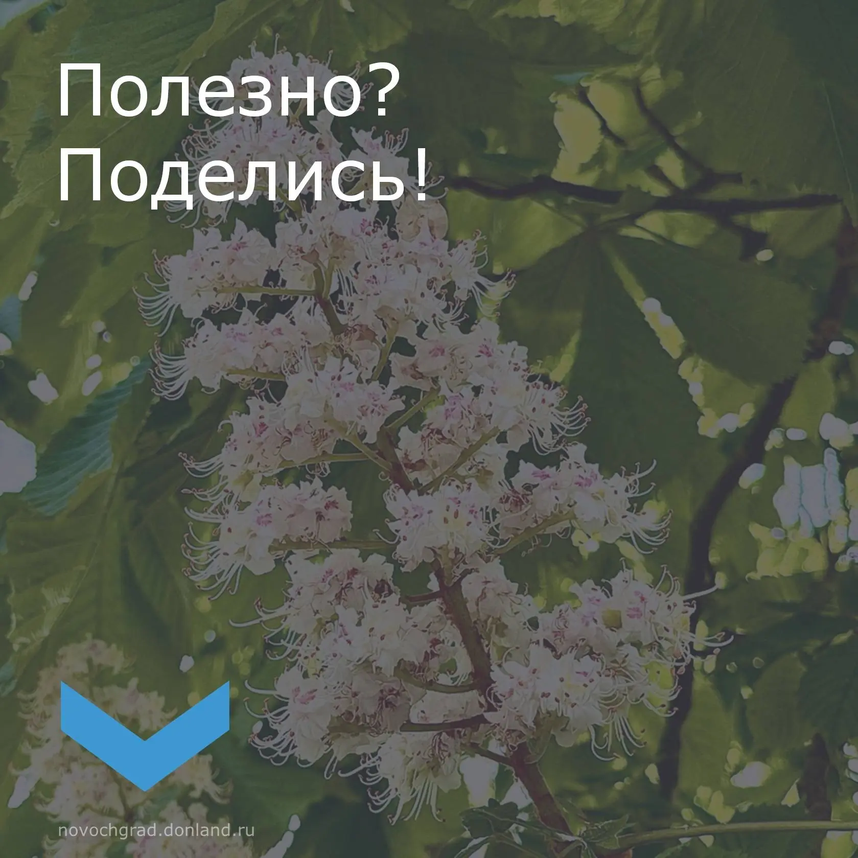 Дорогие жители и гости города! Дорогие жители и гости города!