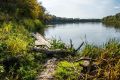 Оператор улучшил связь на «донских Мальдивах» и в хуторе «Донской лозы»