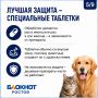 Клещи проснулись: ветеринар рассказал, как дончанам защитить своих питомцев