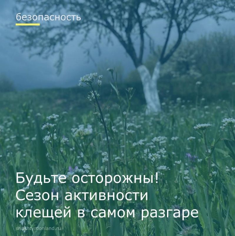 Весенний период сопровождается высокой активностью клещей