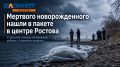 Мертвого новорожденного нашли в пакете выброшенным в центре Ростова — источник Блокнот