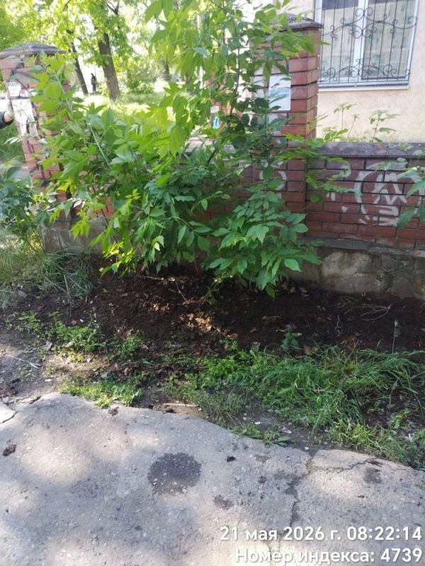 Жители домов около ул. Транспортной, 127, долгое время сталкивались с проблемой содержания придомовой территории Жители домов около ул. Транспортной, 127, долгое время сталкивались с проблемой содержания придомовой территории