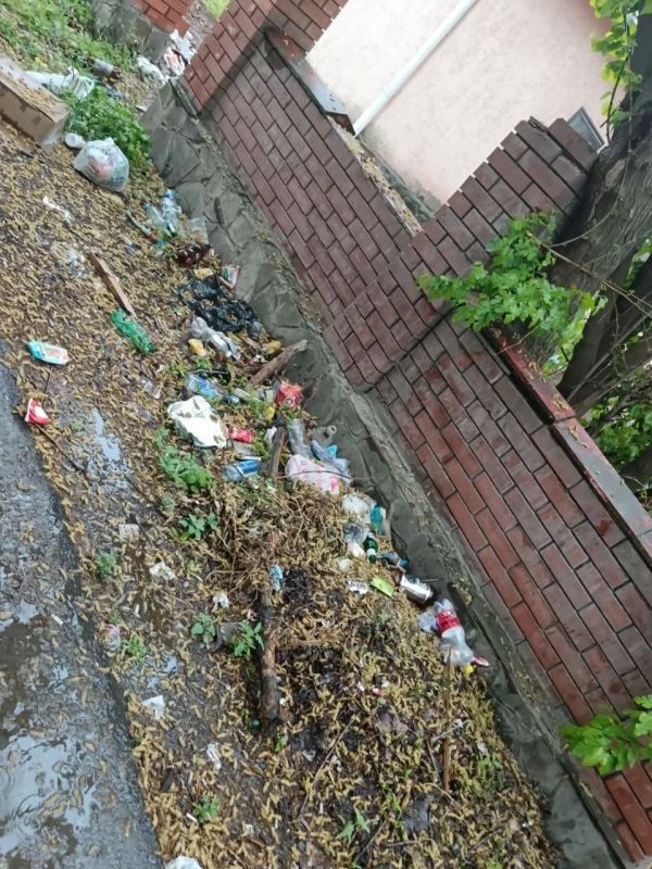 Жители домов около ул. Транспортной, 127, долгое время сталкивались с проблемой содержания придомовой территории Жители домов около ул. Транспортной, 127, долгое время сталкивались с проблемой содержания придомовой территории