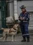 #ЧтоВчераПроизошло?. За 20 мая 2026 года пожарно-спасательные подразделения Главного управления МЧС России по Ростовской области ликвидировали: