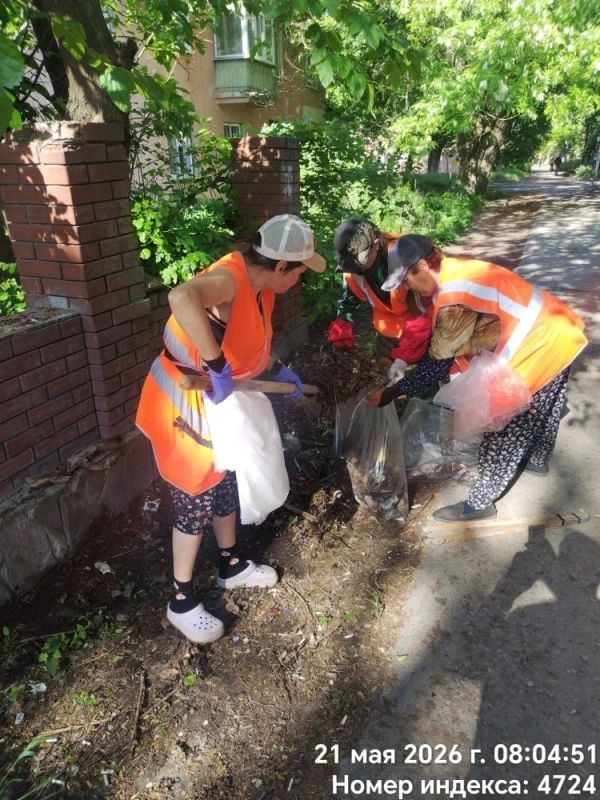 Жители домов около ул. Транспортной, 127, долгое время сталкивались с проблемой содержания придомовой территории Жители домов около ул. Транспортной, 127, долгое время сталкивались с проблемой содержания придомовой территории