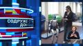 ����� ������ ����������� ������������ ������� ����� �� ������� ������������